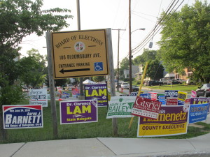 Election campaign signs on grassy area.