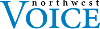 A stylized logo with the word 'VOICE' in blue, featuring a unique 'V' design.