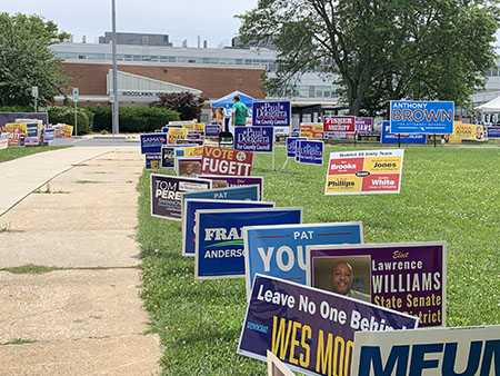 Numerous political campaign signs line a sidewalk in a suburban area.