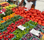 Events and Activities