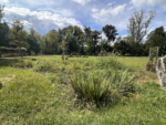 Powhatan Community Garden Coming to Lochearn Area Thanks to State Greenspace Equity Program 
